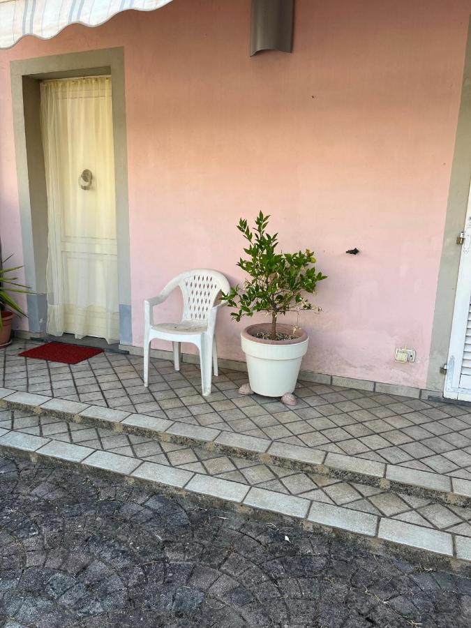 Perfetto Relax Arena Metato Exterior foto
